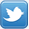 twitter icon